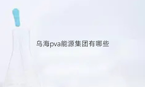 乌海pva能源集团有哪些