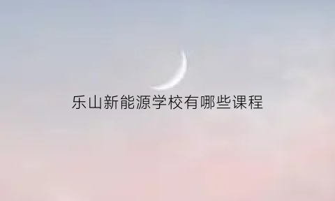 乐山新能源学校有哪些课程