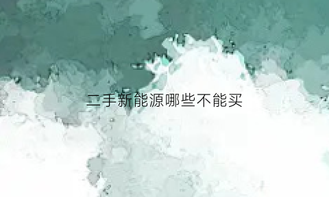 二手新能源哪些不能买