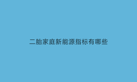 二胎家庭新能源指标有哪些