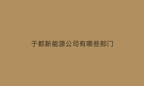 于都新能源公司有哪些部门