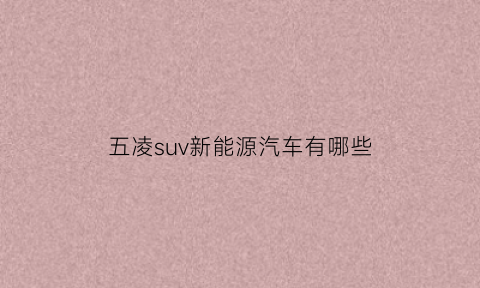 五凌suv新能源汽车有哪些