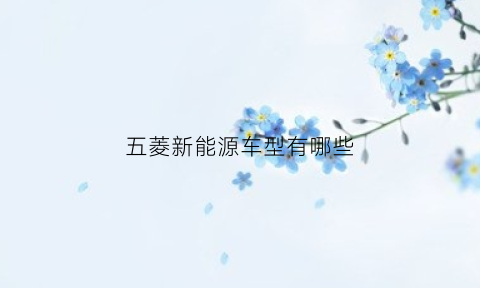 五菱新能源车型有哪些