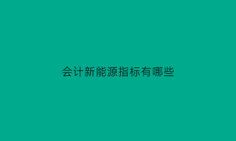 会计新能源指标有哪些(会计新能源指标有哪些内容)