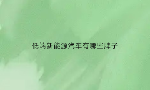 低端新能源汽车有哪些牌子(价格低的新能源汽车)