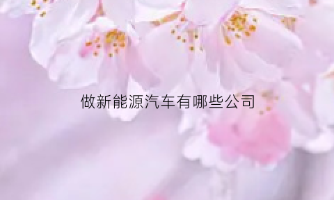 做新能源汽车有哪些公司(新能源汽车厂有哪些)