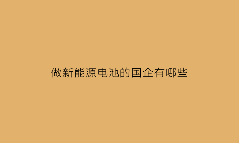 做新能源电池的国企有哪些(国内做新能源电池的公司)