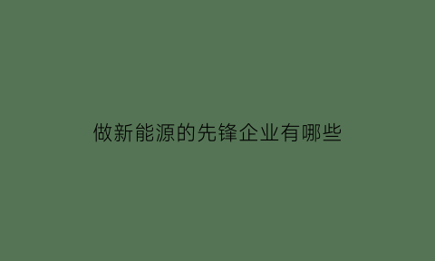 做新能源的先锋企业有哪些