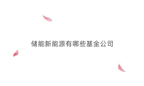 储能新能源有哪些基金公司(储能概念相关基金)