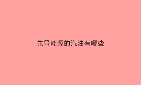 先导能源的汽油有哪些