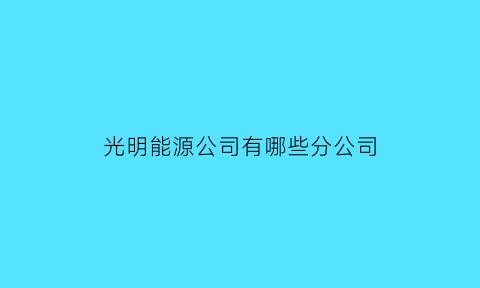 光明能源公司有哪些分公司