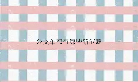 公交车都有哪些新能源(公交车有纯电动的吗)