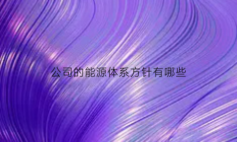 公司的能源体系方针有哪些