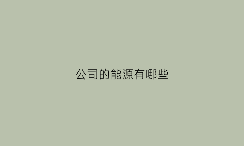 公司的能源有哪些