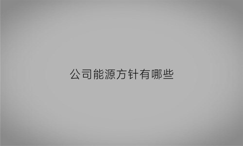 公司能源方针有哪些(能源公司的重要性)