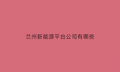 兰州新能源平台公司有哪些