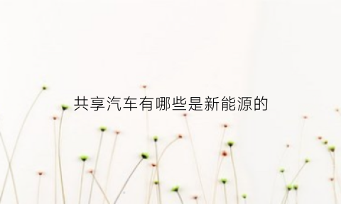 共享汽车有哪些是新能源的