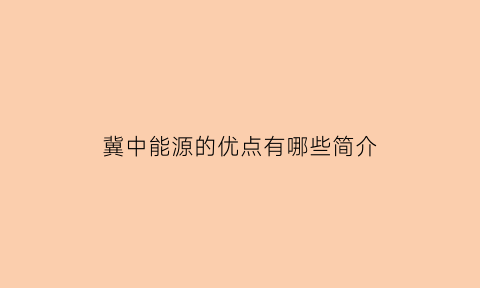 冀中能源的优点有哪些简介