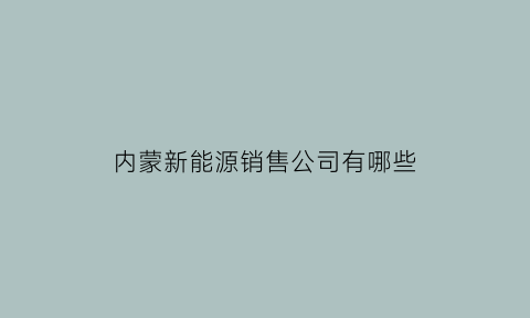 内蒙新能源销售公司有哪些