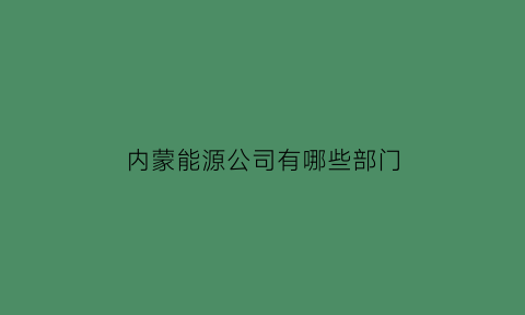 内蒙能源公司有哪些部门