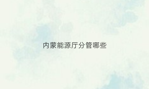 内蒙能源厅分管哪些(内蒙古能源厅副厅长)