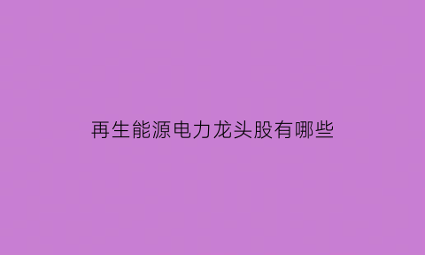 再生能源电力龙头股有哪些(再生能源股龙头股)