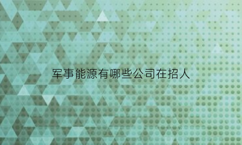 军事能源有哪些公司在招人(军事能源工程)