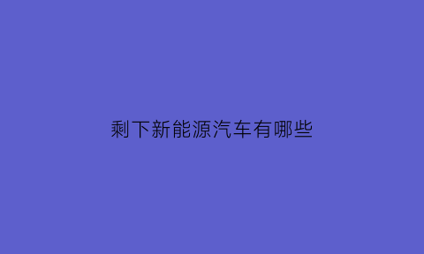 剩下新能源汽车有哪些