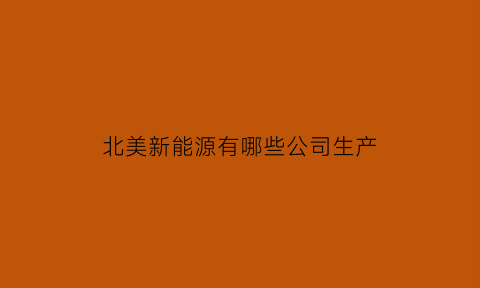 北美新能源有哪些公司生产