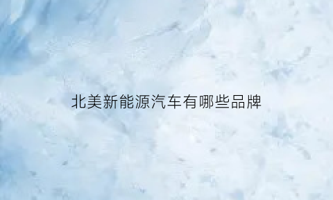 北美新能源汽车有哪些品牌