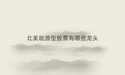 北美能源型股票有哪些龙头(北美能源型股票有哪些龙头企业)