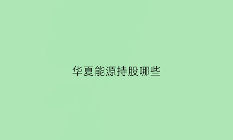 华夏能源持股哪些