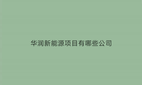 华润新能源项目有哪些公司