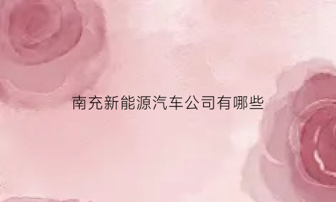 南充新能源汽车公司有哪些