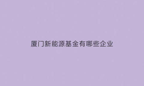 厦门新能源基金有哪些企业(厦门新能源有限公司)