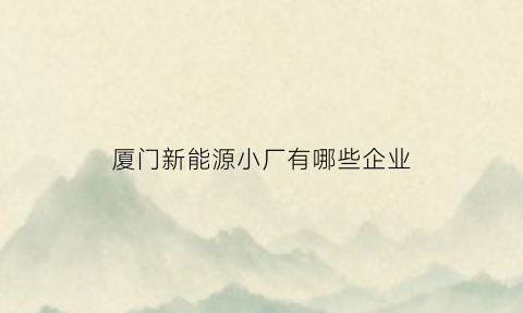 厦门新能源小厂有哪些企业