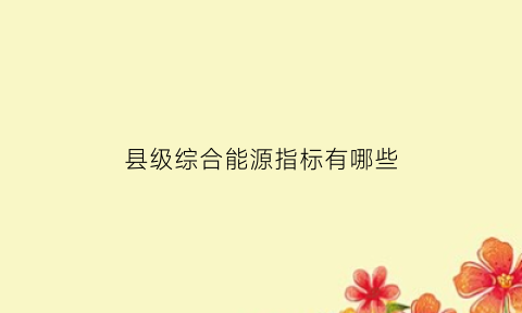 县级综合能源指标有哪些