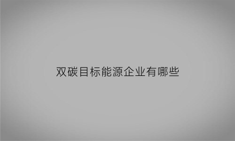 双碳目标能源企业有哪些