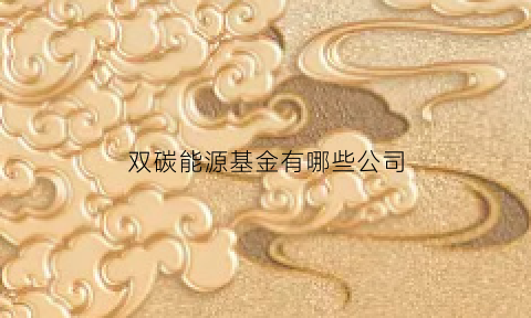 双碳能源基金有哪些公司(双碳能源互联网)