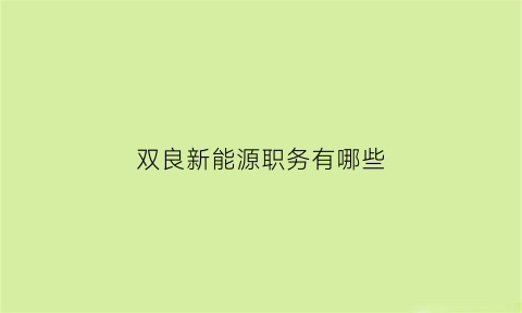 双良新能源职务有哪些(双良节能公司工作怎么样)