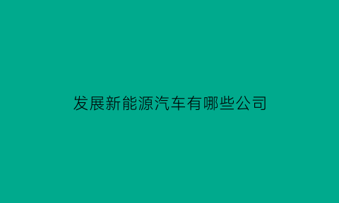 发展新能源汽车有哪些公司