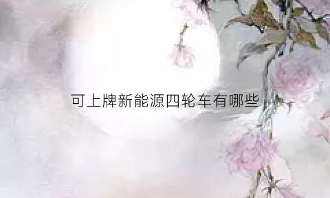 可上牌新能源四轮车有哪些