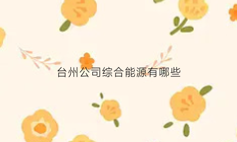 台州公司综合能源有哪些