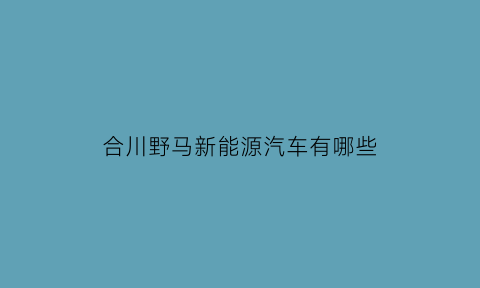 合川野马新能源汽车有哪些