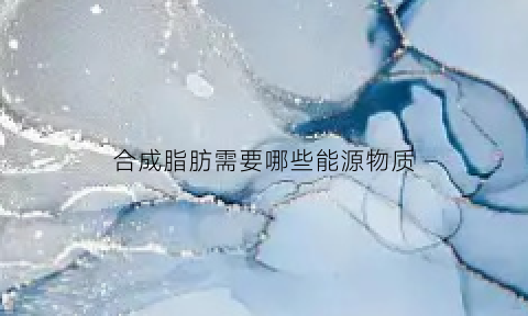 合成脂肪需要哪些能源物质