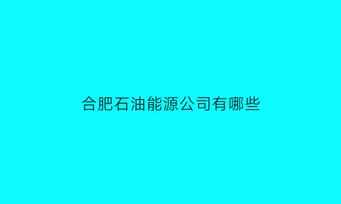 合肥石油能源公司有哪些(合肥石油设备有限公司)