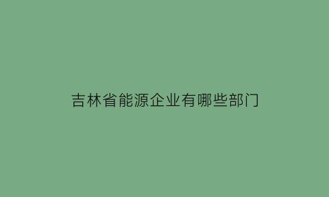 吉林省能源企业有哪些部门