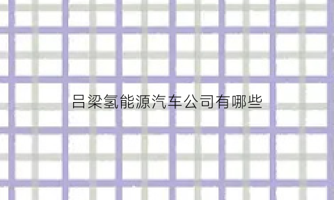 吕梁氢能源汽车公司有哪些