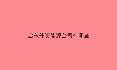 启东外资能源公司有哪些(启东生产外销产品的企业有哪些)