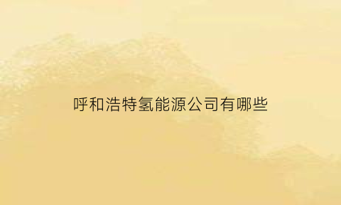 呼和浩特氢能源公司有哪些